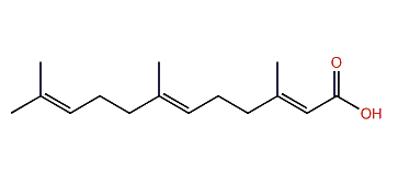 3,7,11-Trimethyl-2,6,10-dodecatrienoic acid